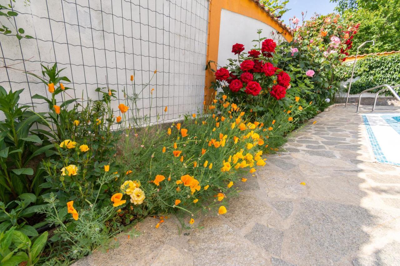 Vila Rosen Lozenets Exterior foto